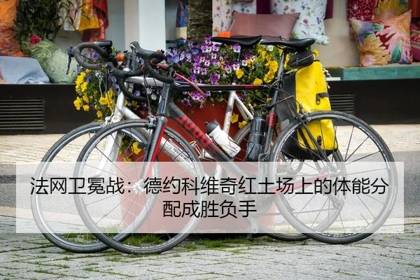 fa-wang-wei-mian-zhan-de-yue-ke-wei-qi-hong-tu-chang-shang-de-ti-neng-fen-pei-cheng-sheng-fu-shou-2-730.jpg
